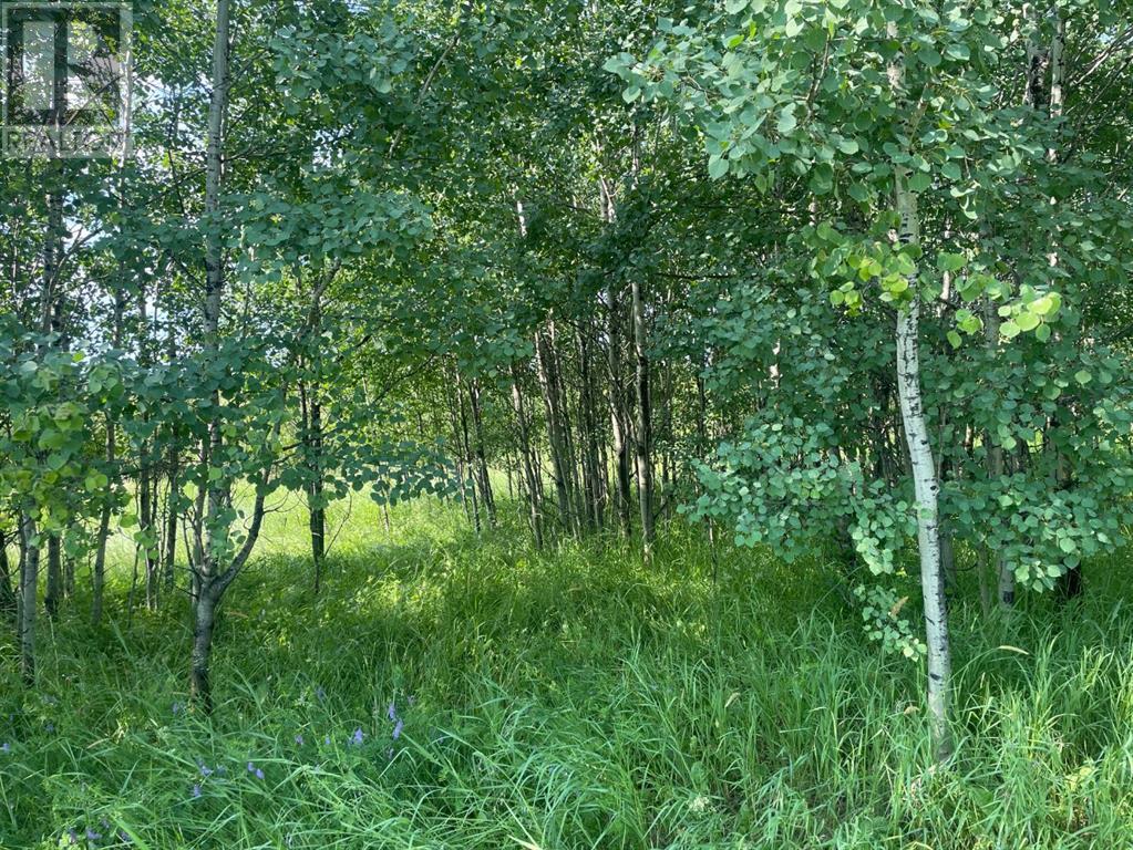 20 Avenue Unit 1003 #1003, Marlboro, AB T7E 3A1