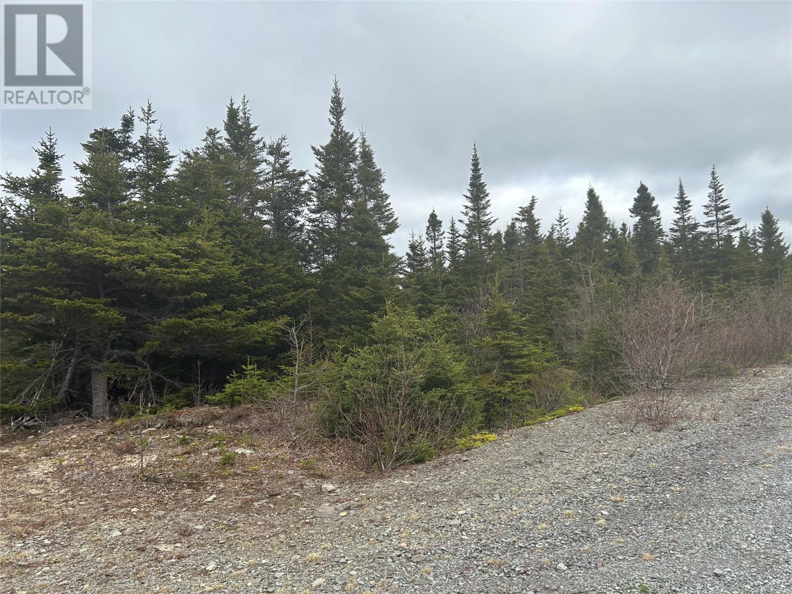 Lot APT 02 Quarry Road, Burgoynes Cove, NL A0C 1G0