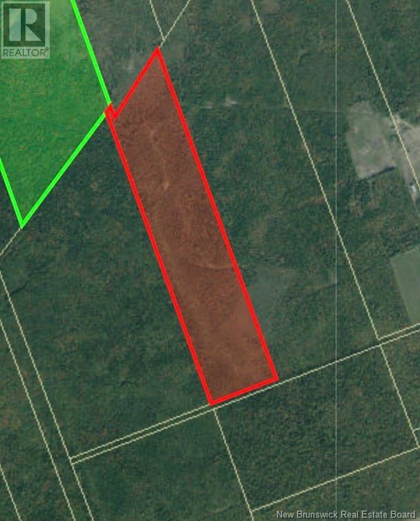 Vacant Lot Macdougall Settlement, Macdougall Settlement, NB E4V 2C8