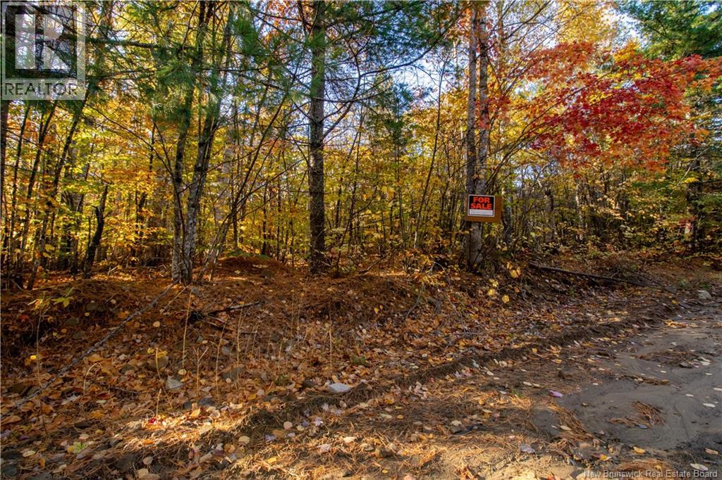 Lot Spring Road, Elgin, NB E4Z 1V3
