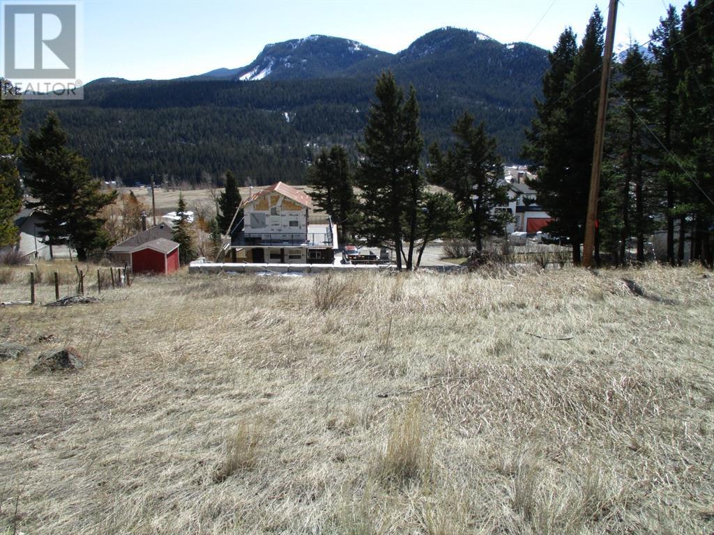 24 Avenue Unit 6502 #6502, Coleman, AB T0K 0M0