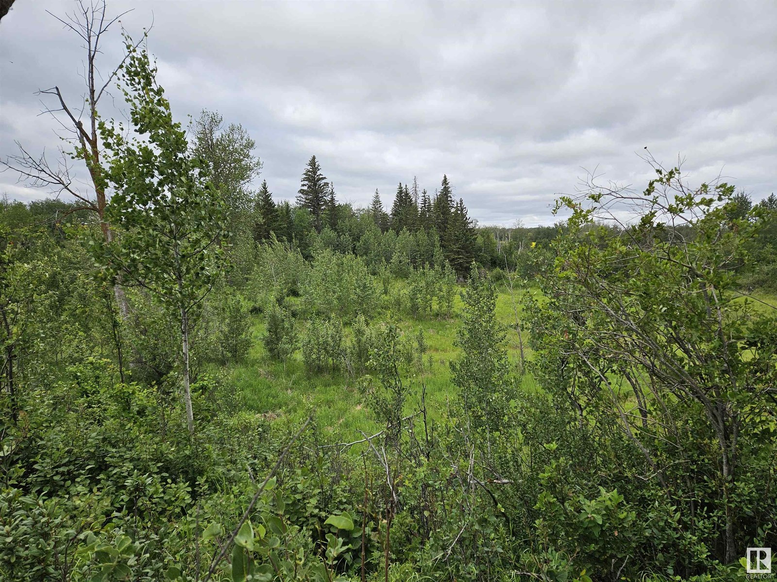 Twp Rd 533 Rr222, Rural Strathcona County, AB T8E 2M5