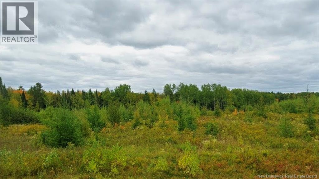 Lot North Black River Road, Black River Bridge, NB E1N 5S4