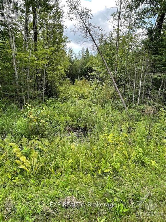 00 A1 Concession Road 4 Rd, Alfred And Plantagenet, ON K0B 1L0
