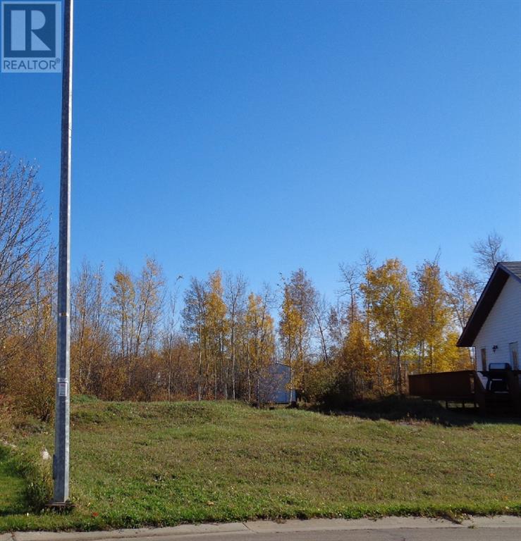 1 Bison Cres, High Level, AB T0H 1Z0