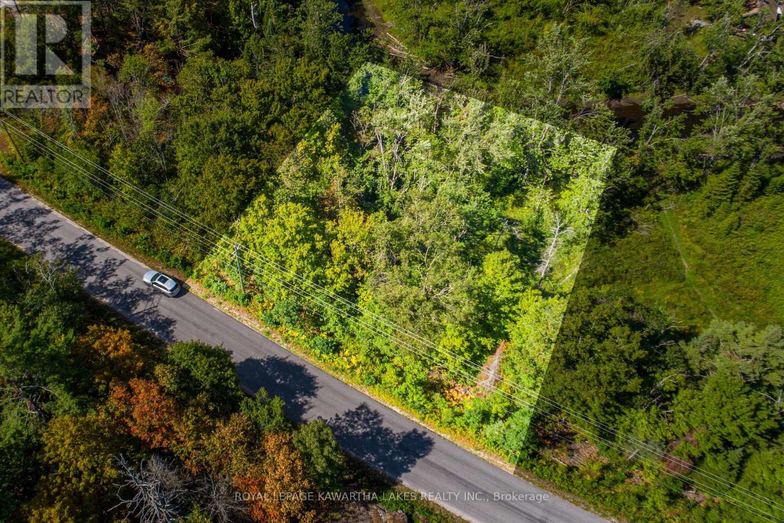 Pt Lot 36 Edwina Drive, Trent Lakes, ON K0M 1A0