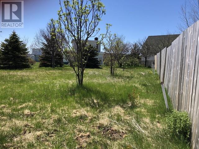65 Ohio Dr, Stephenville, NL A2N 2W2