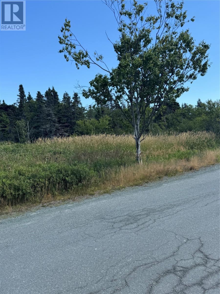 20-34 Crowes Ln, Torbay, NL A1K 1H5