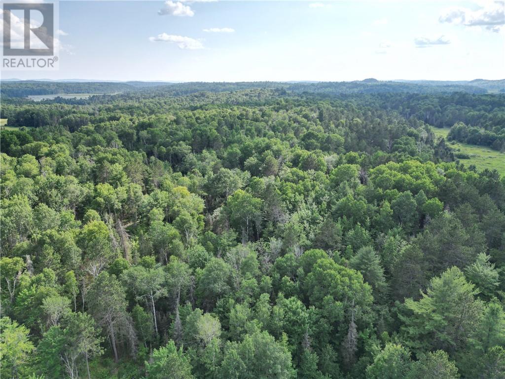 181 Grassy Lake Rd, Whitefish, ON P0M 3E0