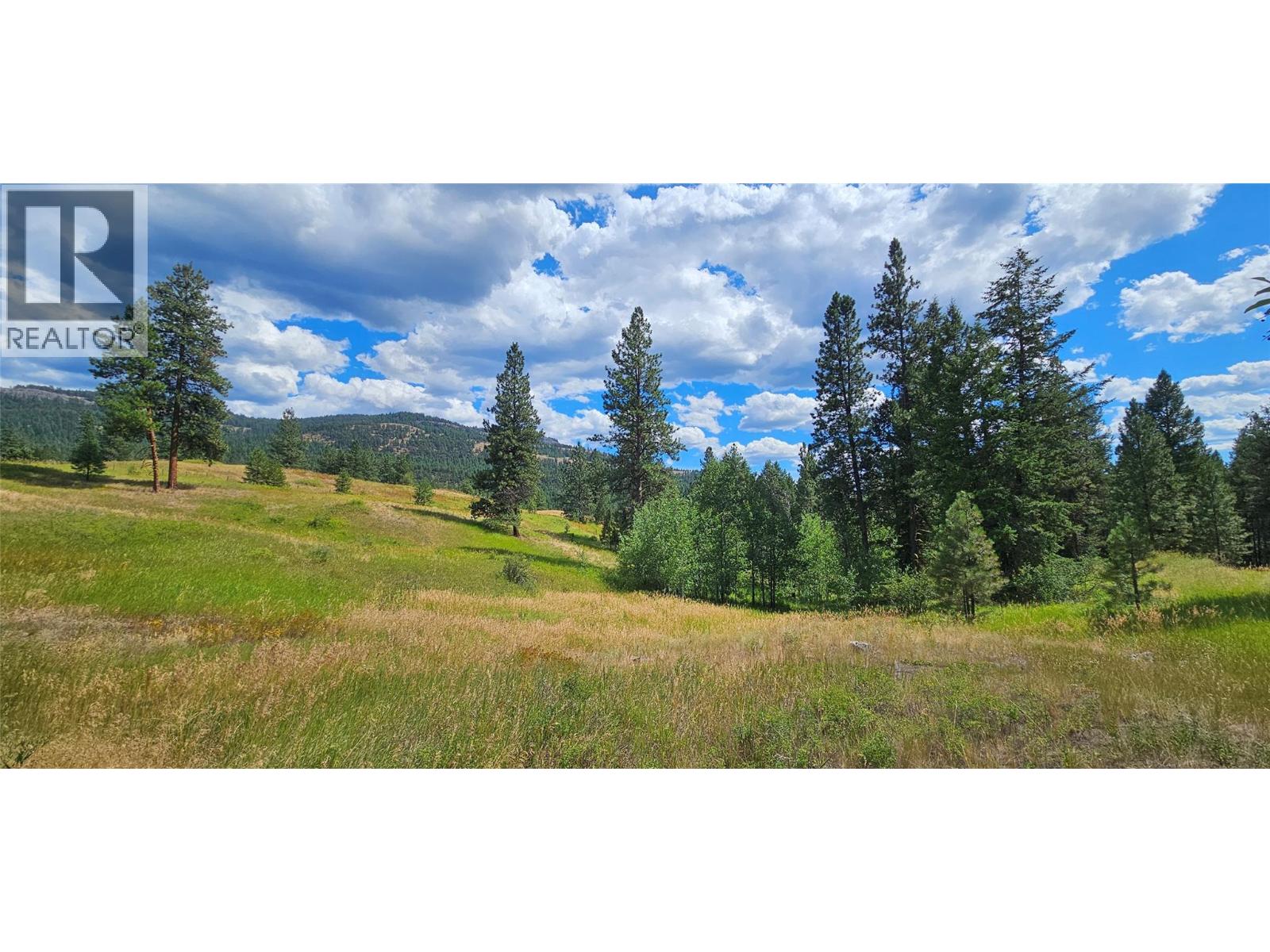Dl 311s Nicholson Creek Road Unit Lot A, Rock Creek, BC V0H 1Y0