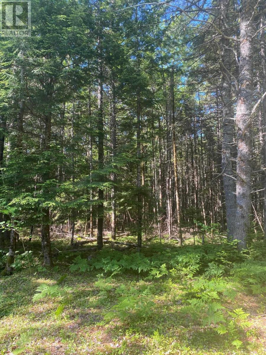 Lot Pid60493061 Huey Lake Road, Mount Pleasant, NS B0R 1G0
