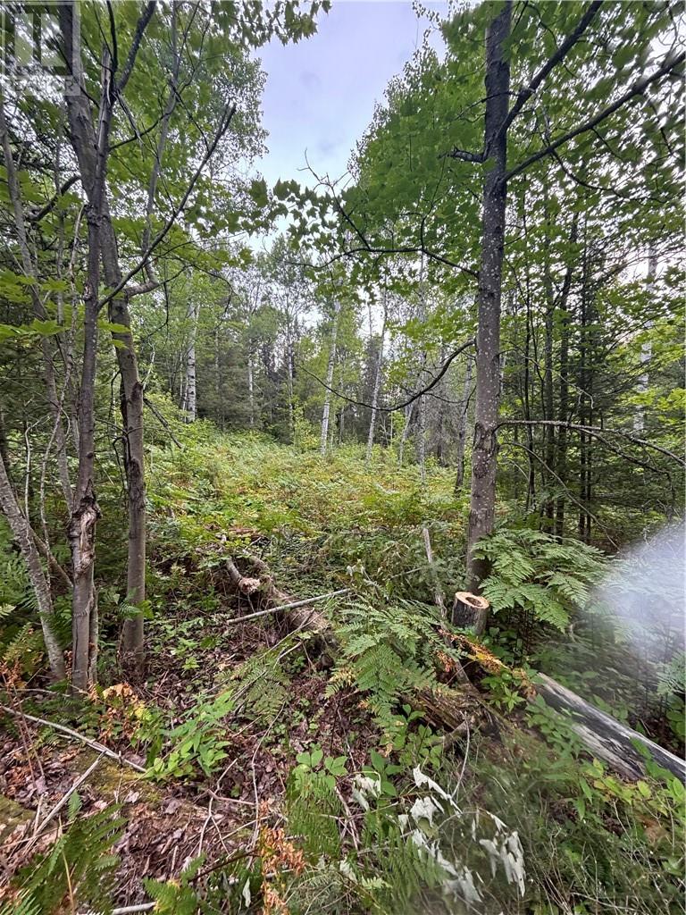 0 Mullen Rd, Whitefish, ON P0M 3E0