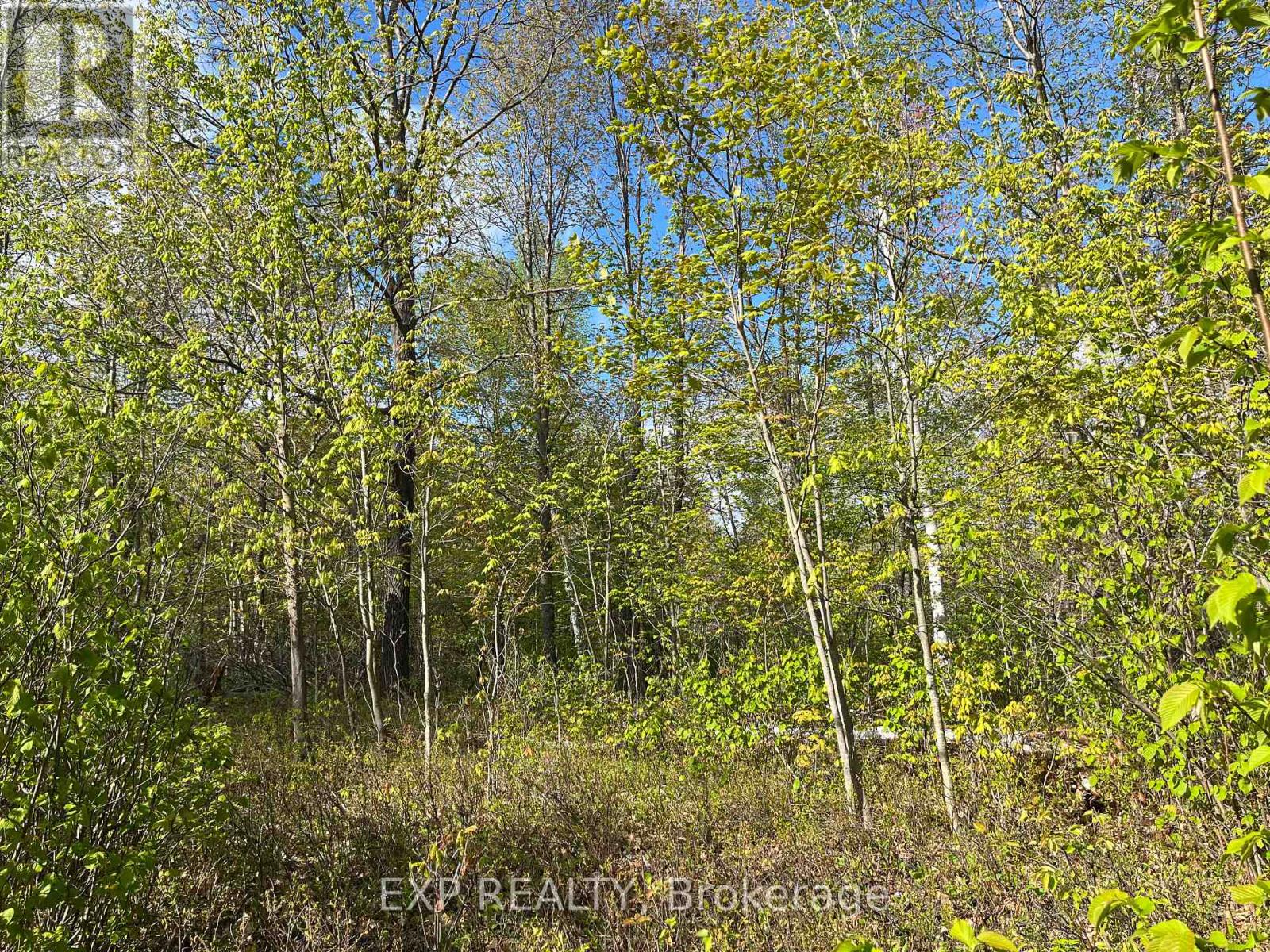 6 Casson Trail, Madawaska Valley, ON K0J 1B0