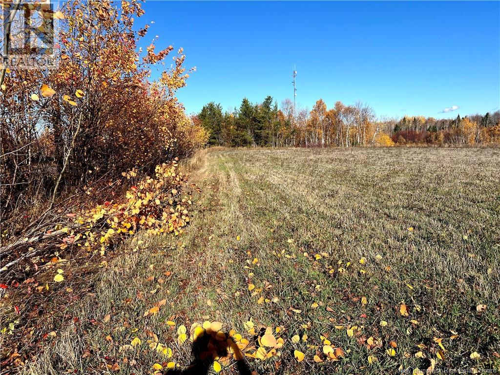 3 Acres Ch Eustache Hache, Saint-isidore, NB E8M 1G7