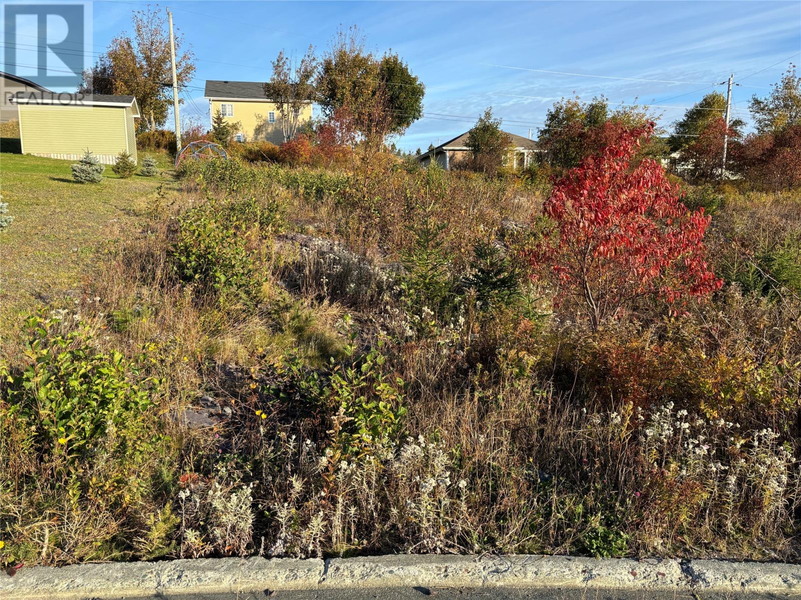 59 Badcock Blvd, Bay Roberts, NL A0A 1G0