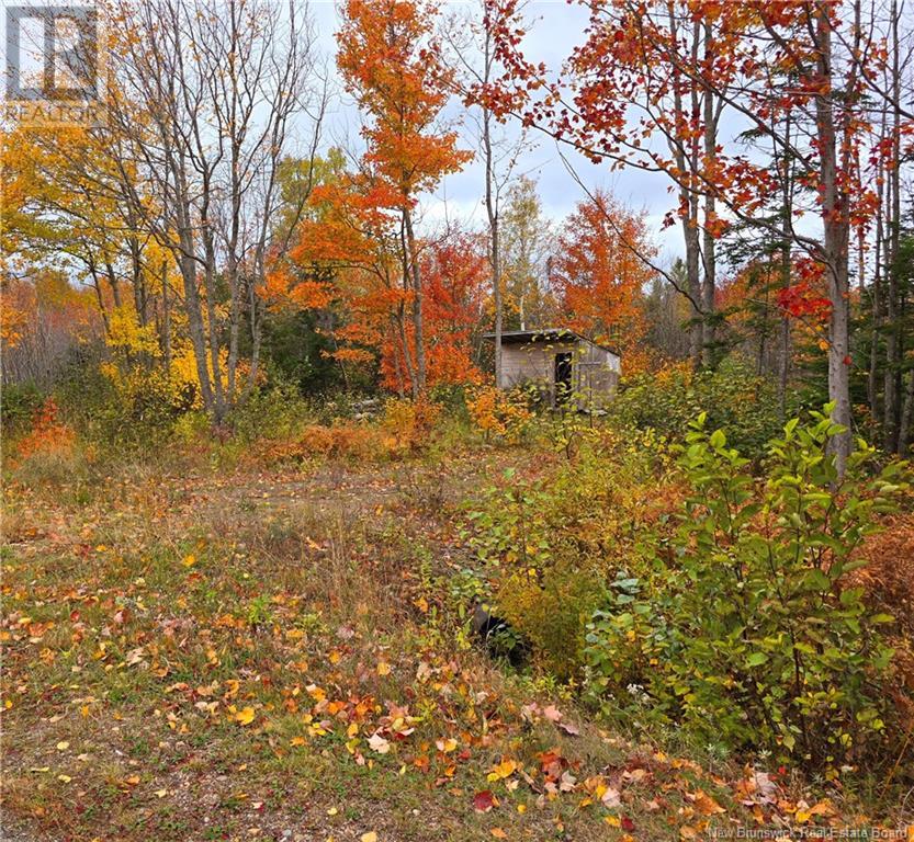 9 9hec-2 Ave Foret Unit 8 #8, Grande-anse, NB E8N 1A3