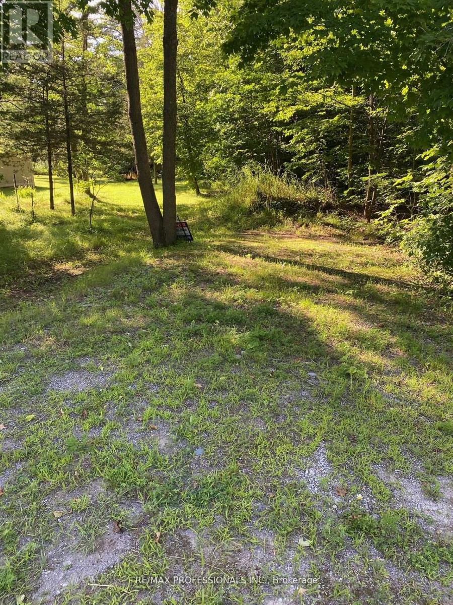 11th Line East, Trent Hills, ON K0K 2M0