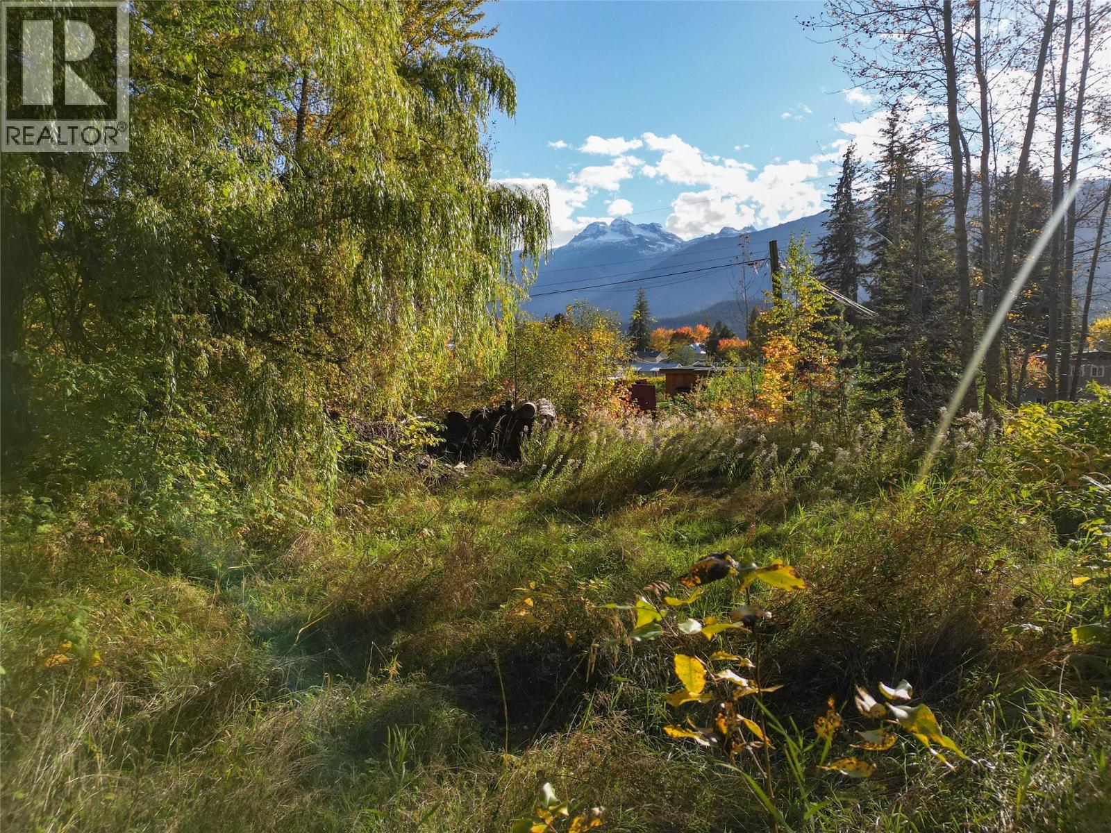 902 Farrell Rd, Revelstoke, BC V0E 2S0