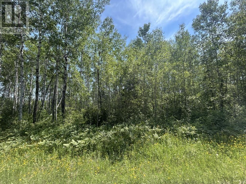 Parcel 19523 Barnhardt Road, Emo, ON P0W 1E0