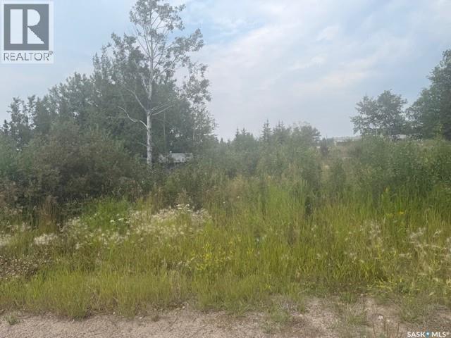 131 Olsen St, La Ronge, SK S0J 1L0