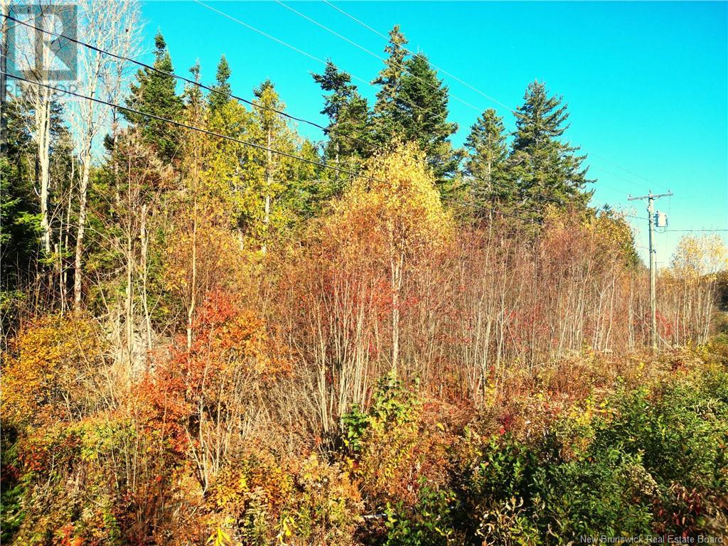18 Harbour Heights Dr #85, Welshpool, NB E5E 1H9