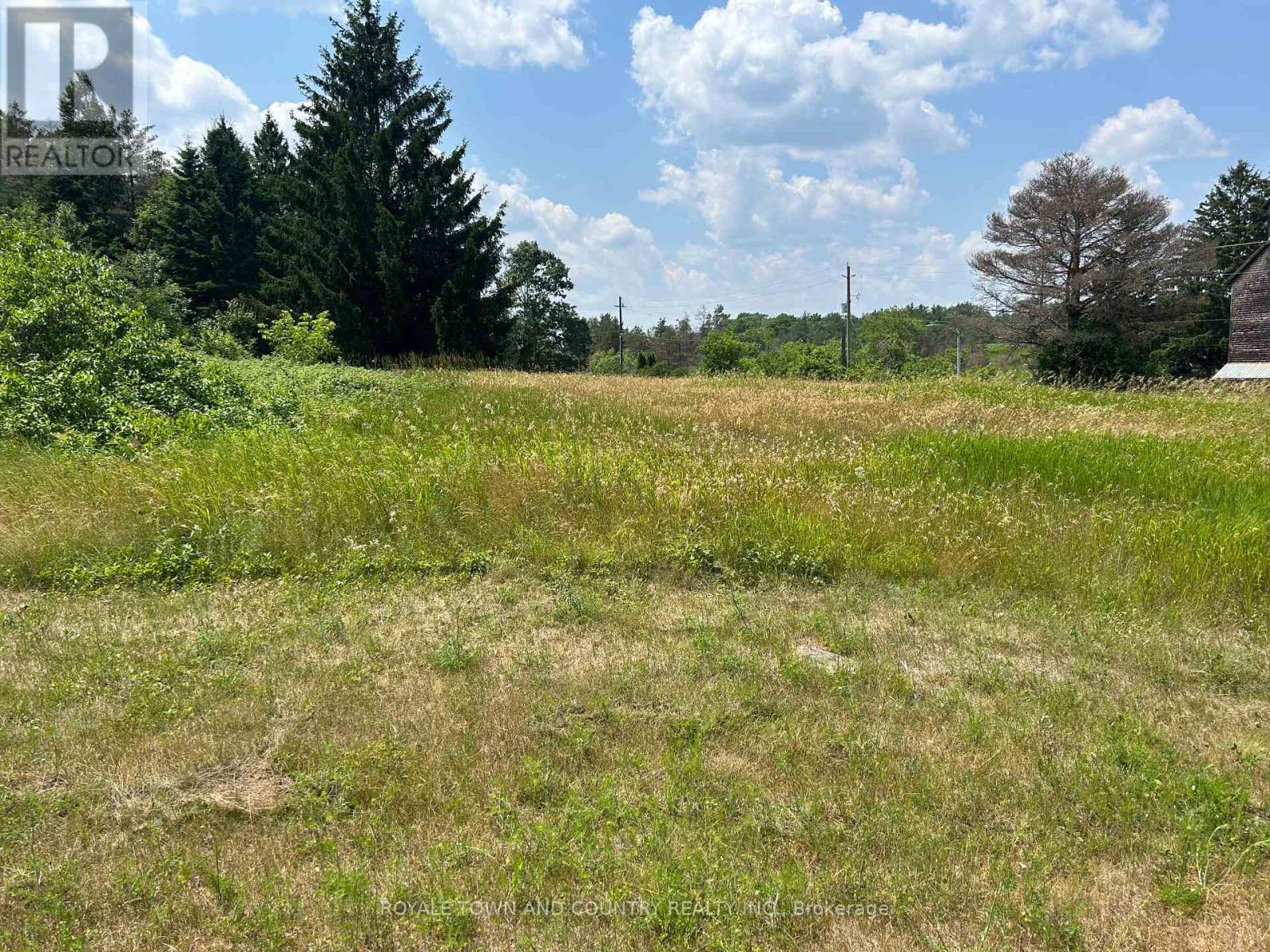 6 Thomas St 2 4 St, Kawartha Lakes, ON L0A 1K0