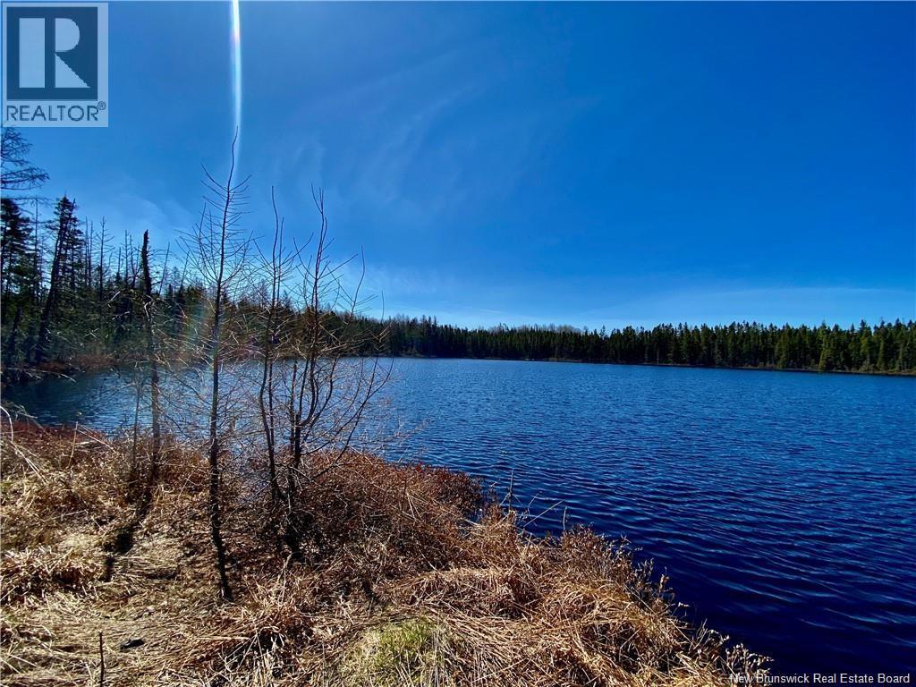 0 Goodine Cross Rd, Sisson Ridge, NB E7G 1S4