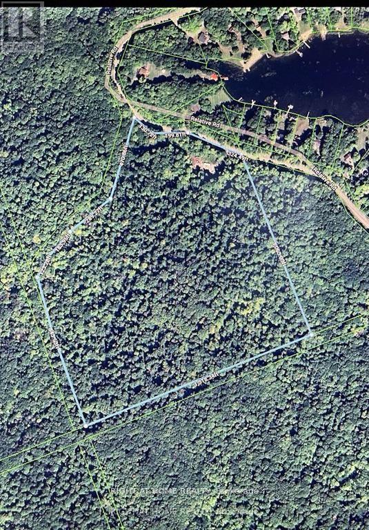 870 Relative Rd, Armour, ON P0A 1C0