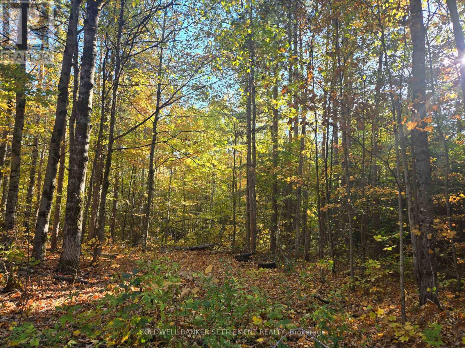 0 Dalhousie Con 4 Concession Cors, Lanark Highlands, ON K0G 1K0