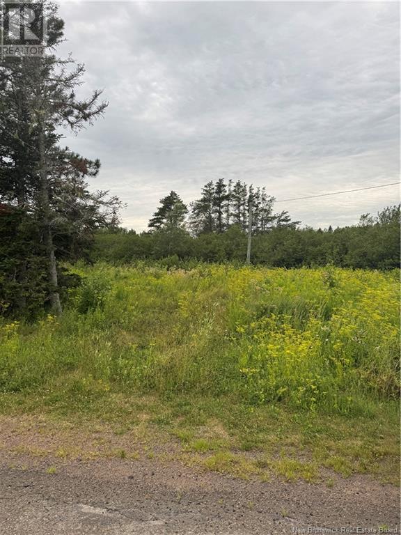 0 Collins Lake Rd, Shemogue, NB E4N 2M5