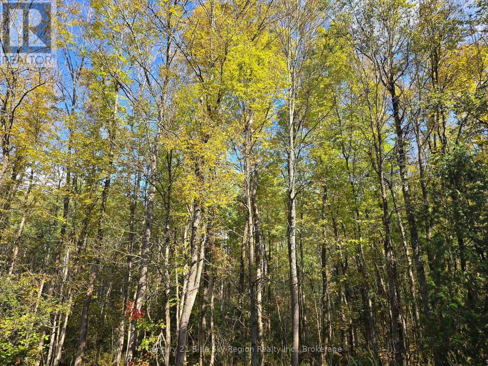 3 Guillemette Rd, West Nipissing River Valley, ON P0H 2C0