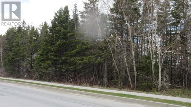 9 Westhaven Dr, Pasadena, NL A0L 1K0