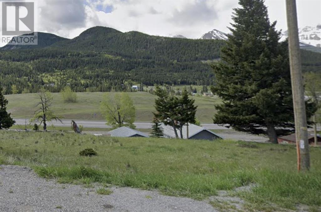 22 Avenue Unit 6510, Coleman, AB T0K 0E0