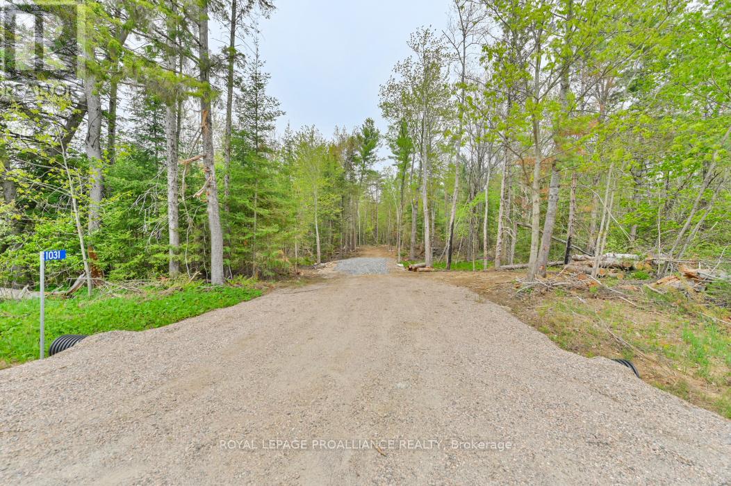 1031 Road 506, North Frontenac, ON K0H 1K0