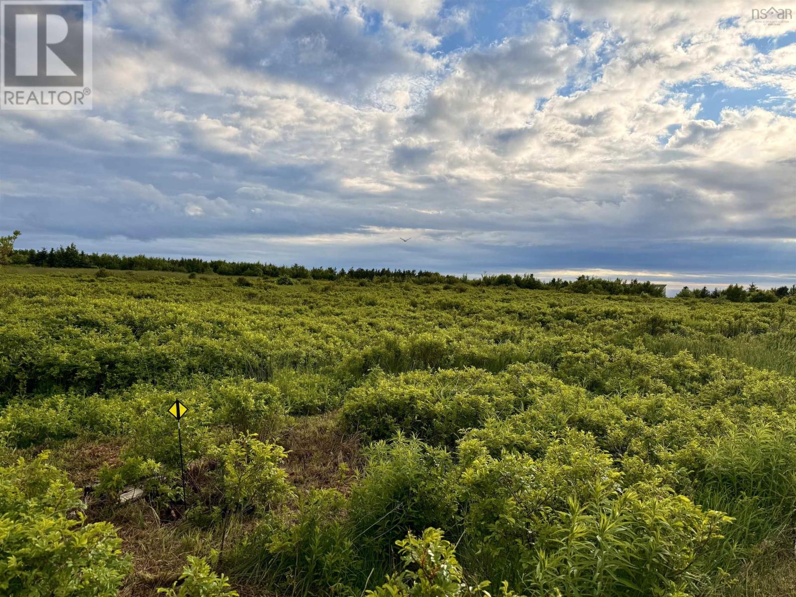 Chemin Simeon Aucoin Road, St. Joseph Du Moine, NS B0E 3A0