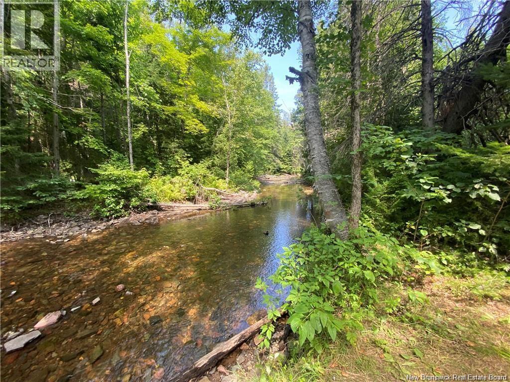 Land Archibald Road, Belledune, NB E8G 1W5
