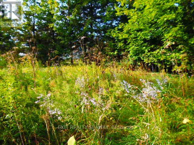0 Dalkeith Rd, North Glengarry, ON K0B 1E0