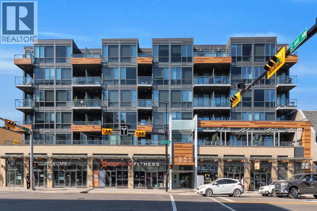 301 10 Street Nw Unit 211, Calgary, AB T2N 1V5