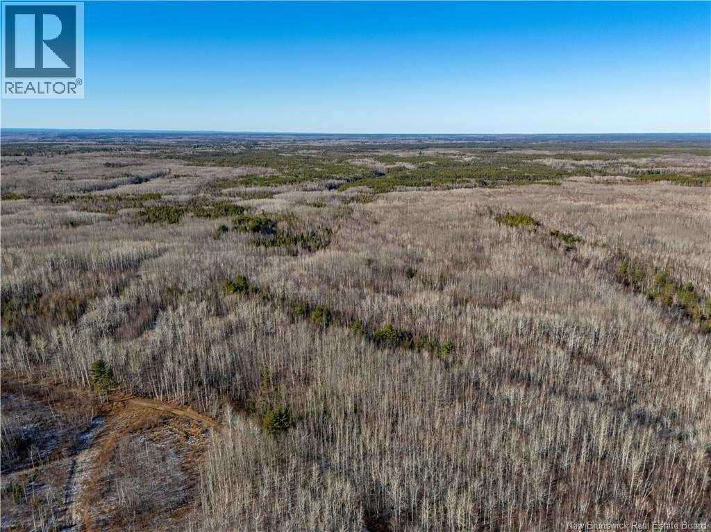 100 Acres Mckinnon Rd, Miramichi, NB E1V 5Y1