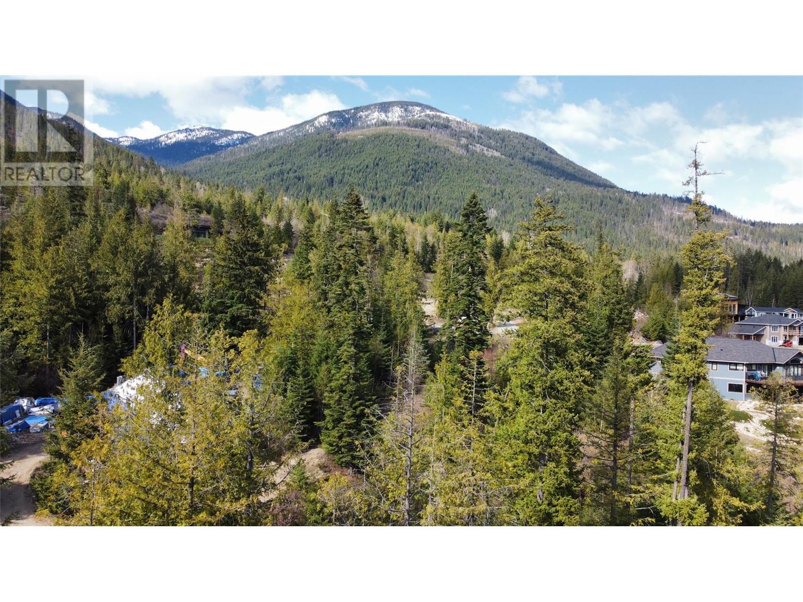 317 Mountainview Dr, Nelson, BC V1L 6W6