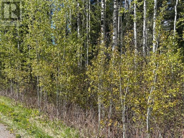 Boultbee Road, Bridge Lake, BC V0K 1E0