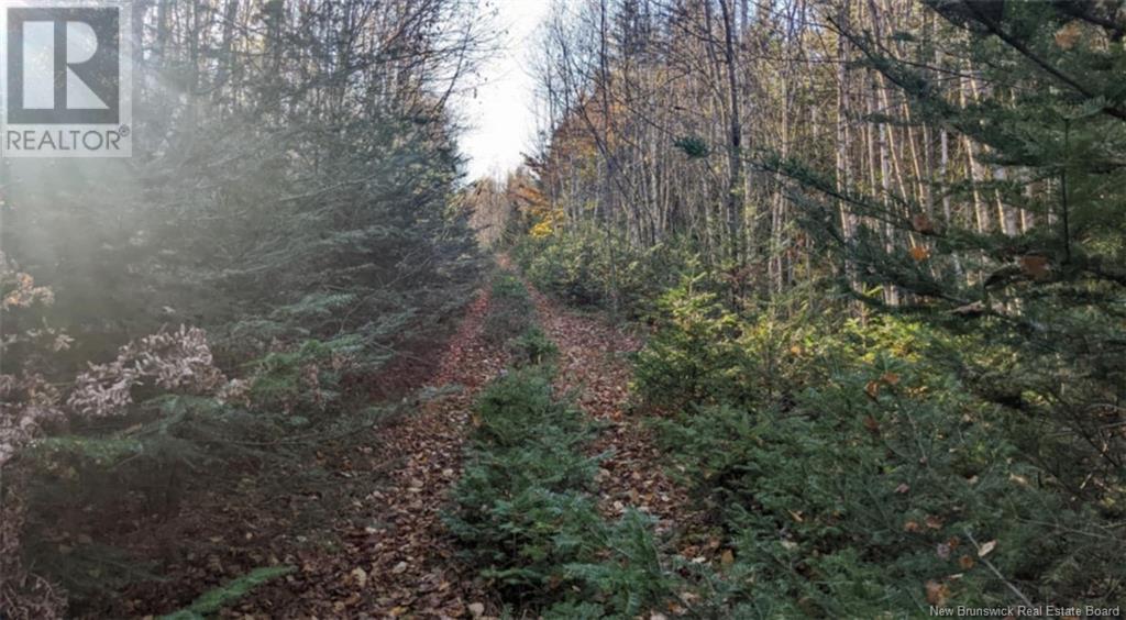 Old Great Road, Hopewell Cape, NB E4H 3J6