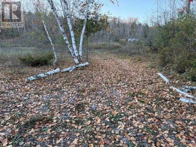 20 Fire Rte 121, Trent Lakes, ON K0M 1A0