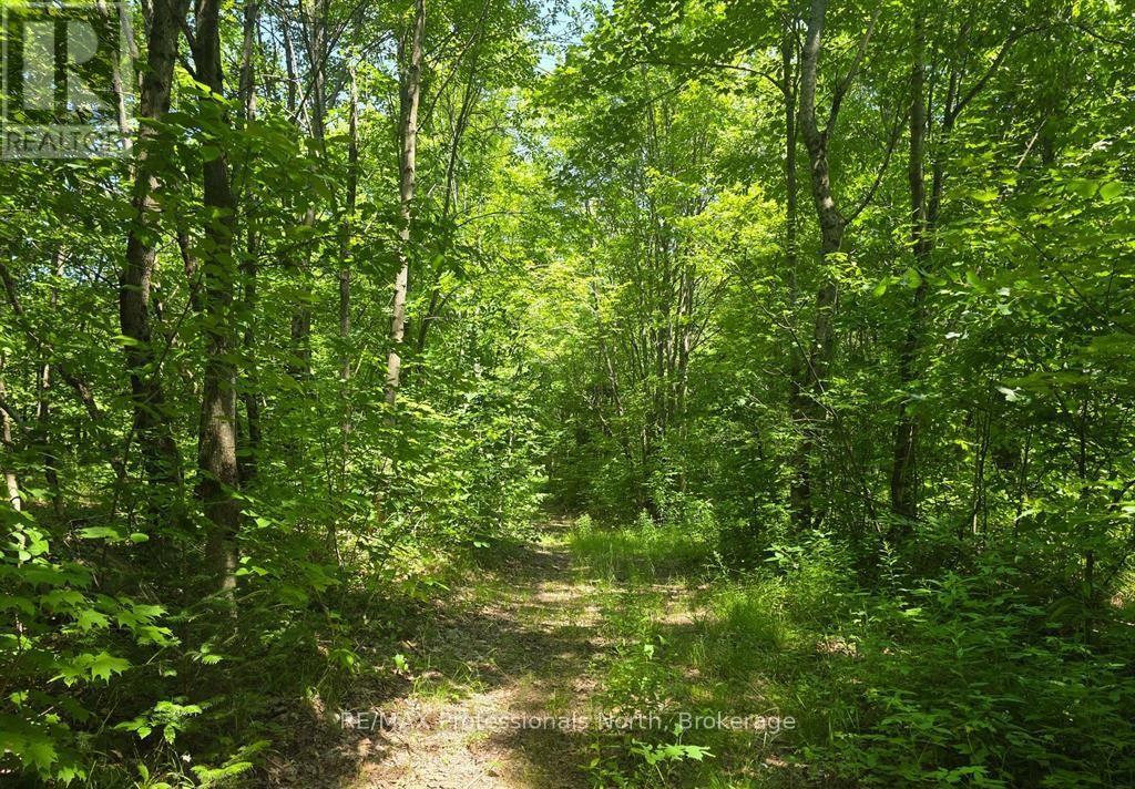 1134 Walkers Line Rd, Algonquin Highlands Stanhope, ON K0M 1S0