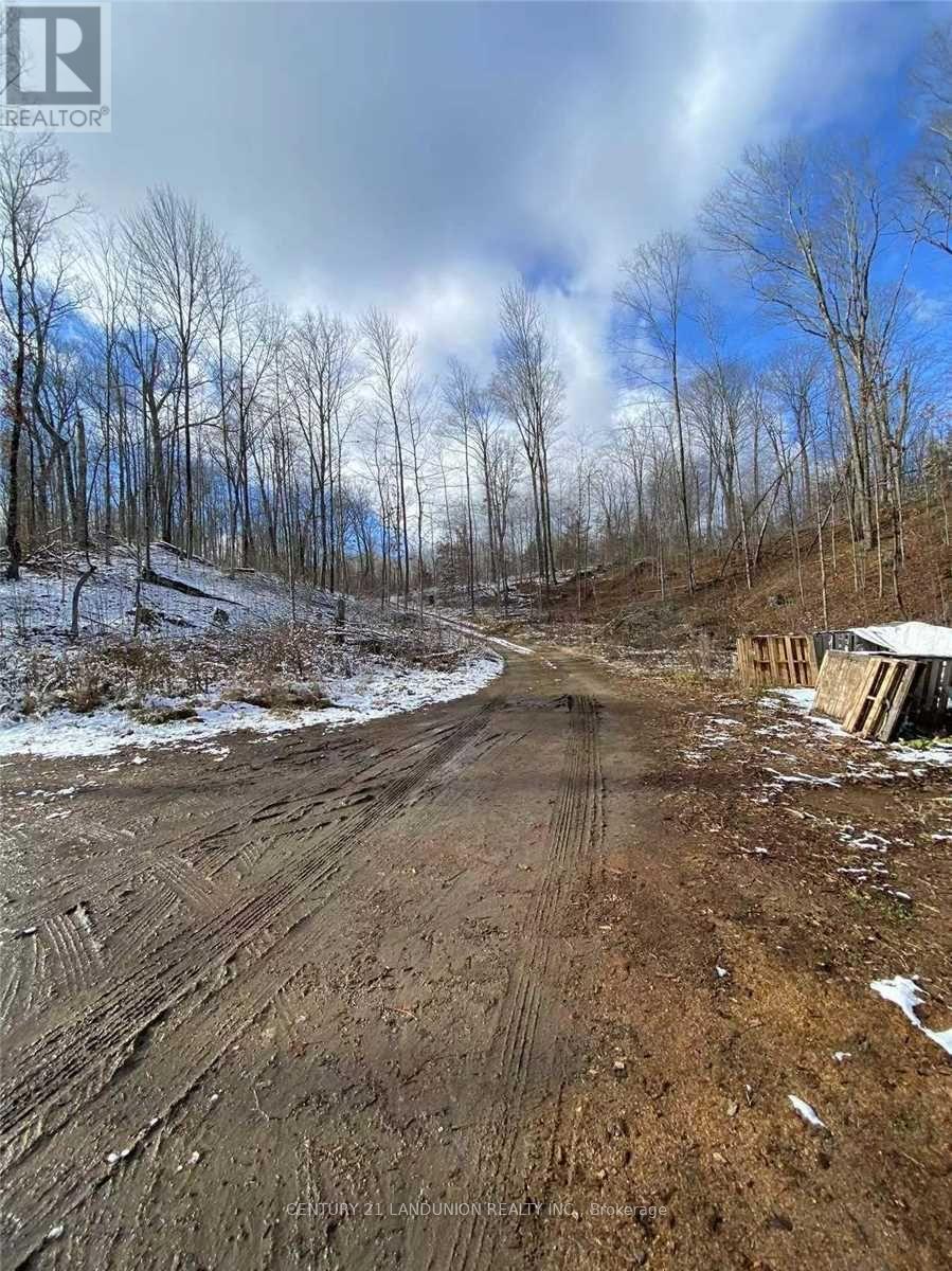 1091 Crystal Lake Rd, Trent Lakes, ON K0M 2A0