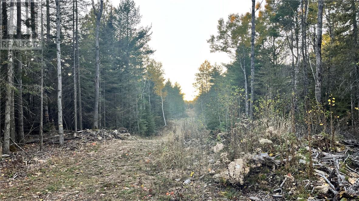 Checkerboard Lane, Gore Bay, ON P0P 1H0