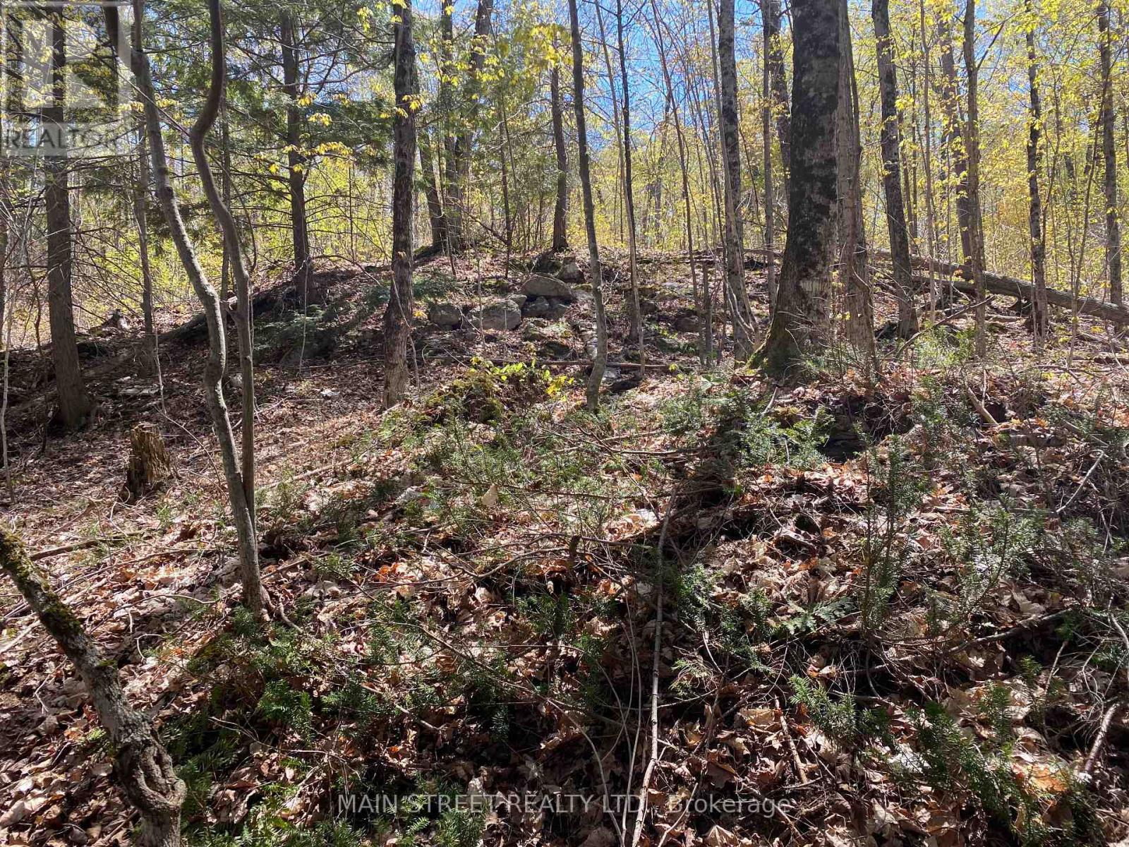 000 Blanchards Rd, Kawartha Lakes Bexley, ON K0M 2B0