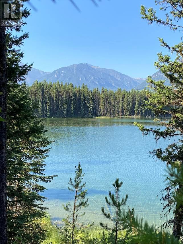 Km 44 Westside Road, Brisco, BC V0B 1B0