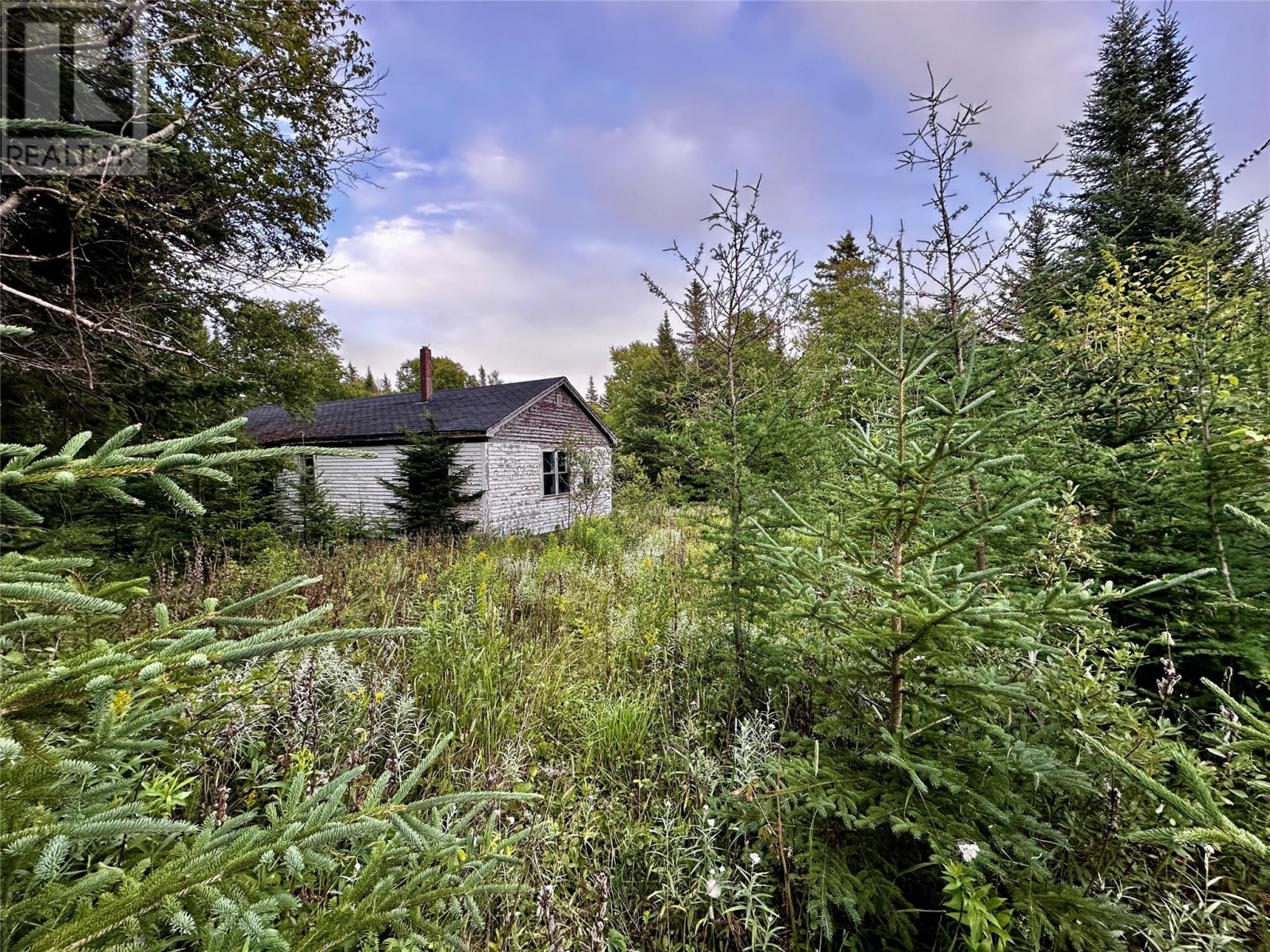 398 Veterans Dr, Cormack, NL A8A 2R4