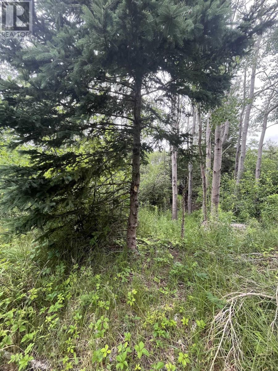 Annapolis Royal, NS homes for sale & real estate listings Houseful